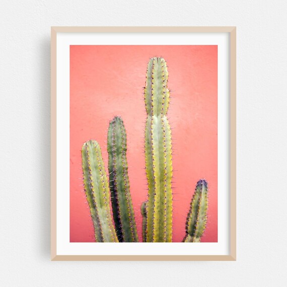 Marrakesh Columnar Cacti Coral Pink Minimalist Botanical Wall Art
