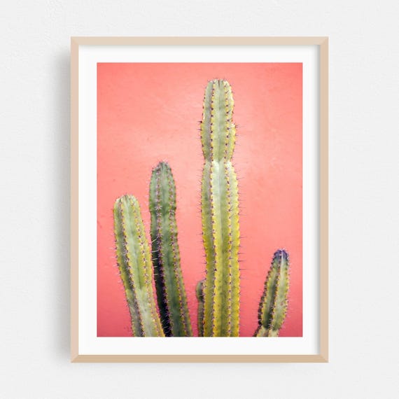 Marrakesh Print Marrakeshsafi Wall Art Morocco Framed Cactus Home Decor Desert Poster Botanical Fine Nature Minimalist