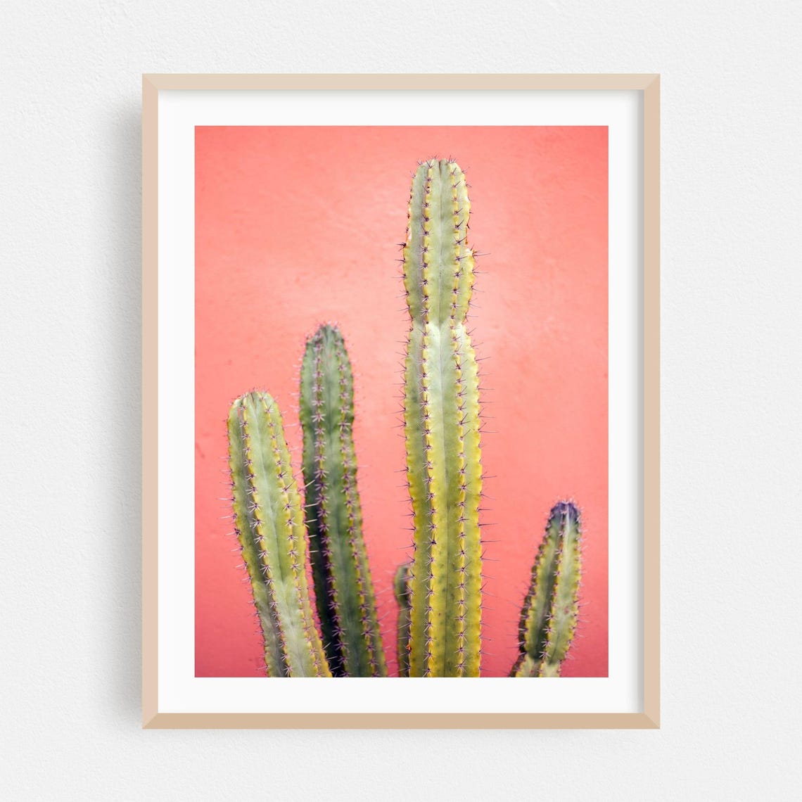 Marrakesh Columnar Cacti Coral Pink Minimalist Botanical Wall Art