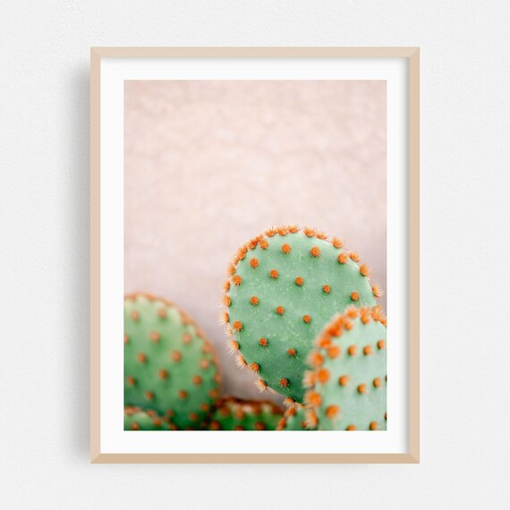 Marrakesh Pastel Prickly Pear Cactus Minimalist Botanical Wall Art