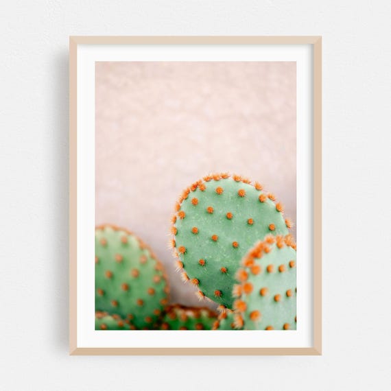 Marrakesh Print Marrakeshsafi Wall Art Morocco Framed Cactus Home Decor Desert Poster Botanical Fine Minimalist Nature