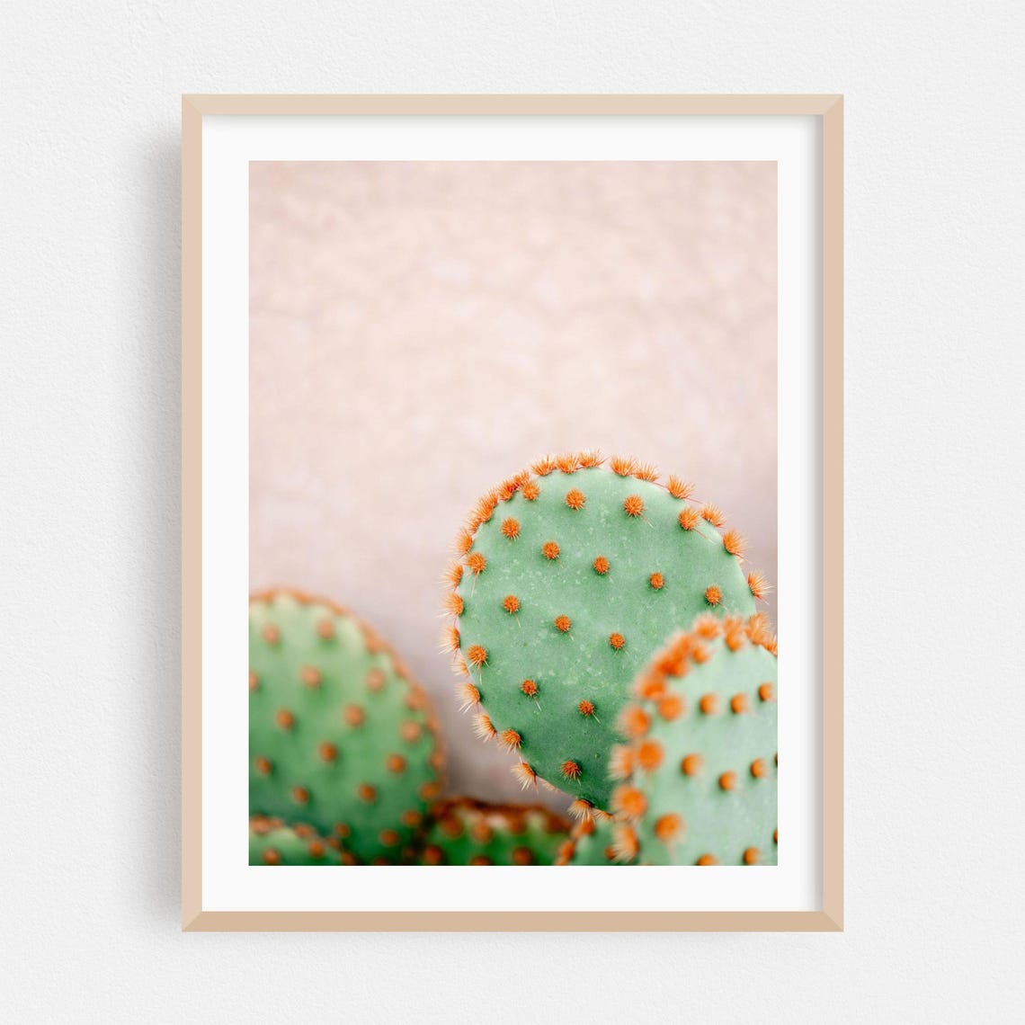 Marrakesh Pastel Prickly Pear Cactus Minimalist Botanical Wall Art