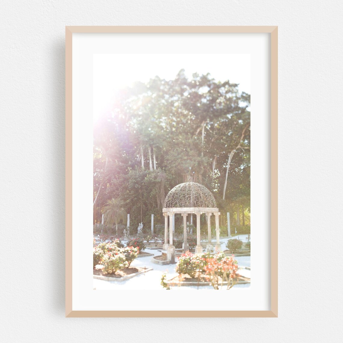 St Petersburg Florida Garden Gazebo Roses Sunlight Photo Wall Art