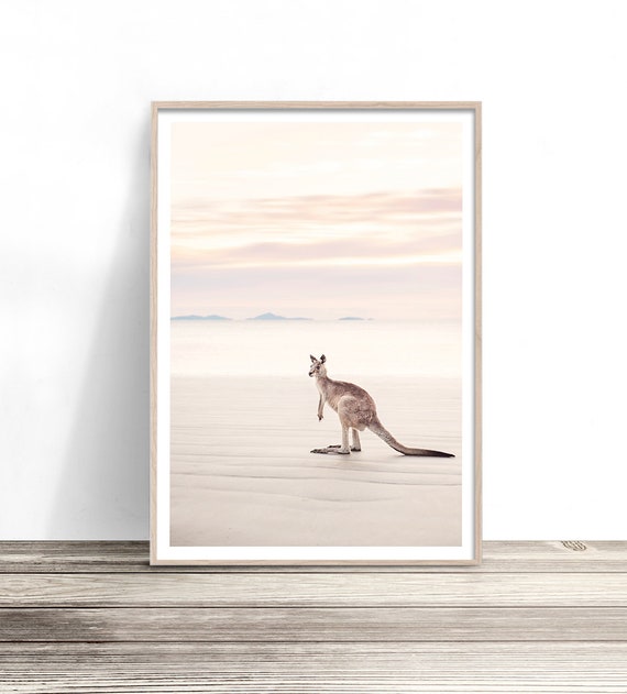 Kangaroo on Beach Art Print, Australian Animal