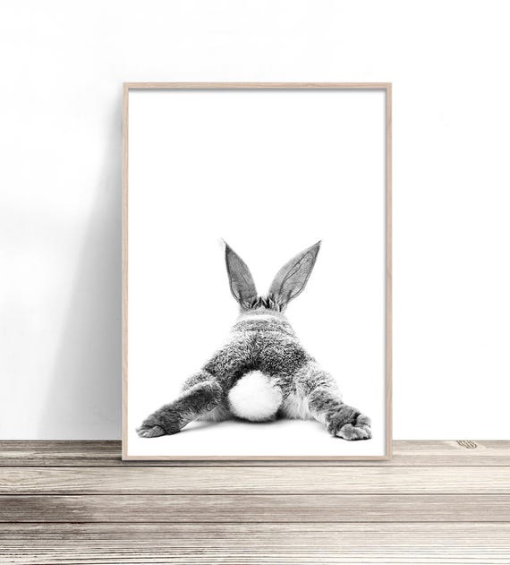 Bunny Rabbit Tail, Black And White Nursery Art Print