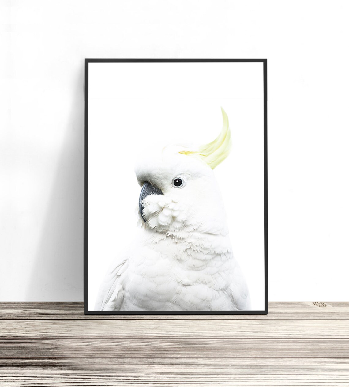 White Cockatoo Australian Bird Photography Art Print