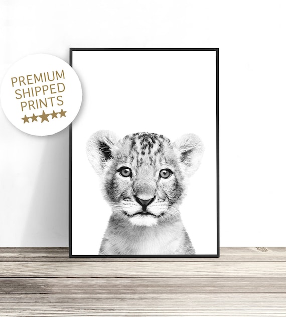 Black And White Lion Cub Baby Close Up Nursery Kids Safari Art Print
