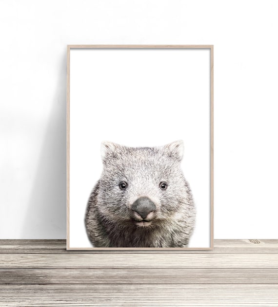 Wombat Print, Modern Australiana Nursery Decor