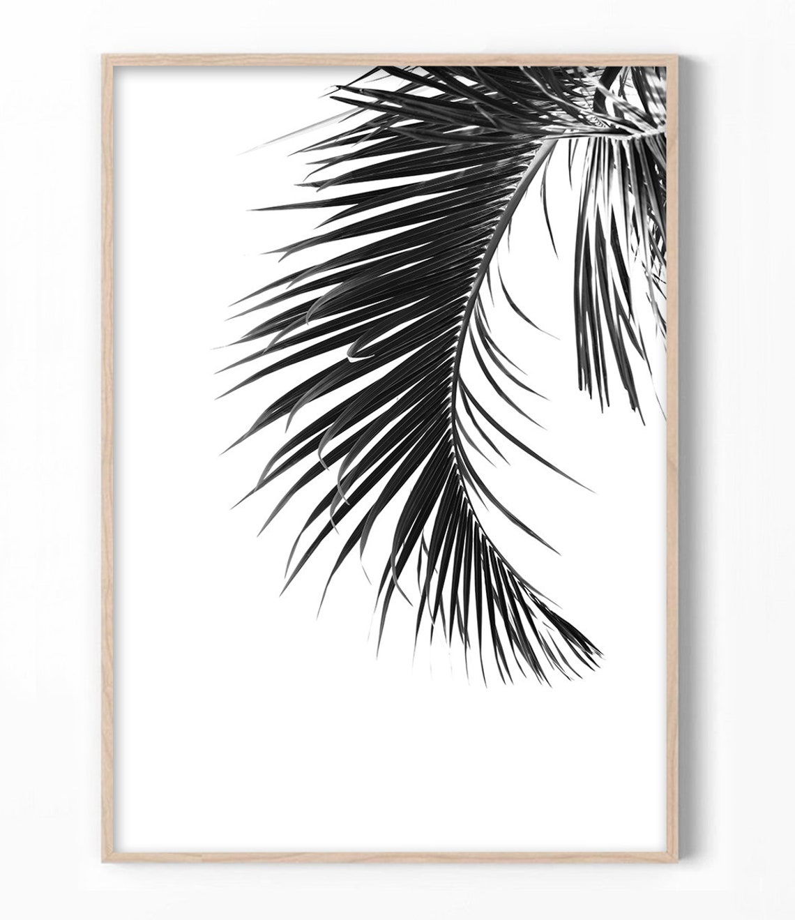 Black And White Palm Frond Tropical Leaf Photography Wall Art Print - Image 3
