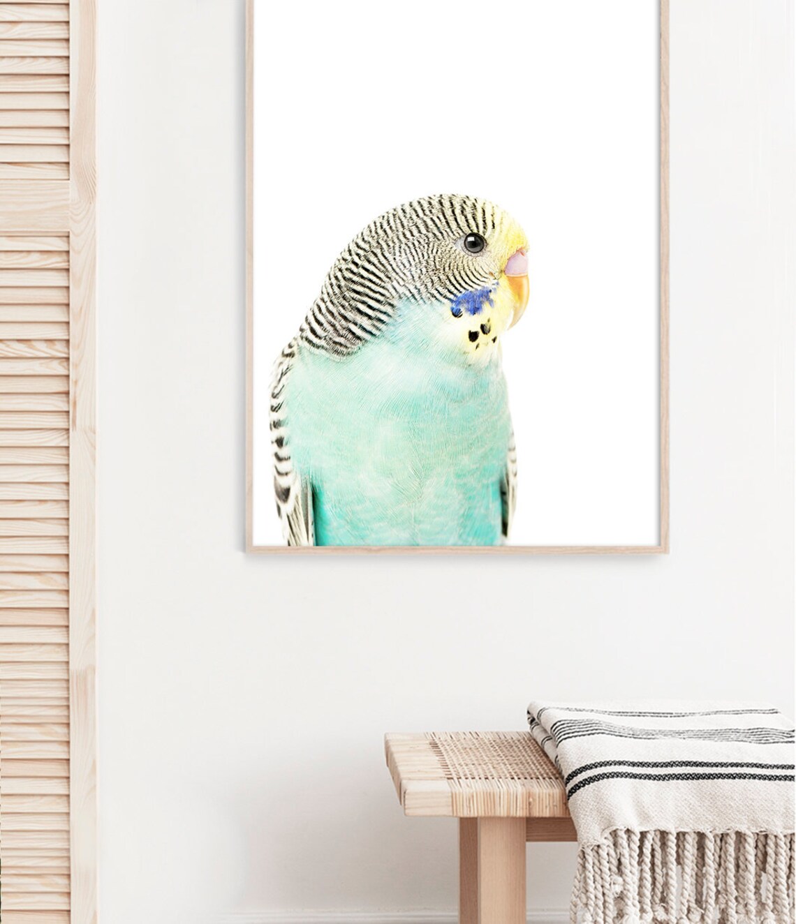 Budgie Art Print, Australian Bird Photography - Image 3