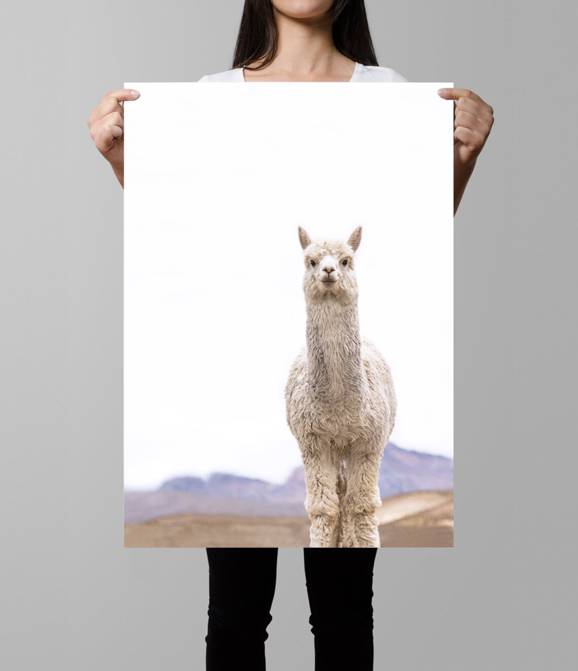 Llama and Alpaca Photography, Boho Nursery Art Print - Image 3