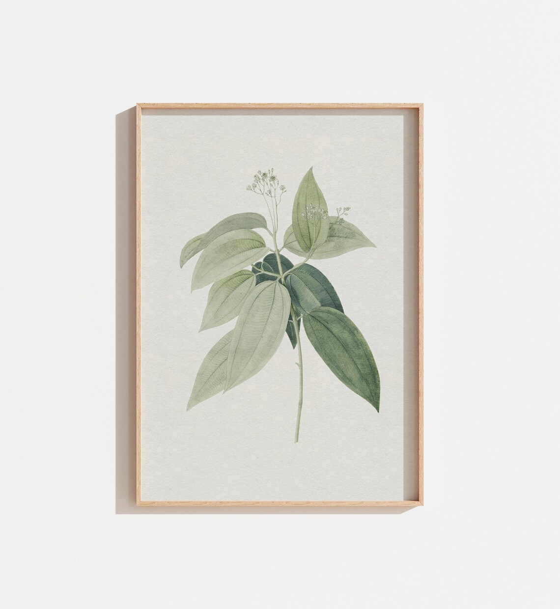 Vintage Muted Sage Green Botanical Flower Art Print