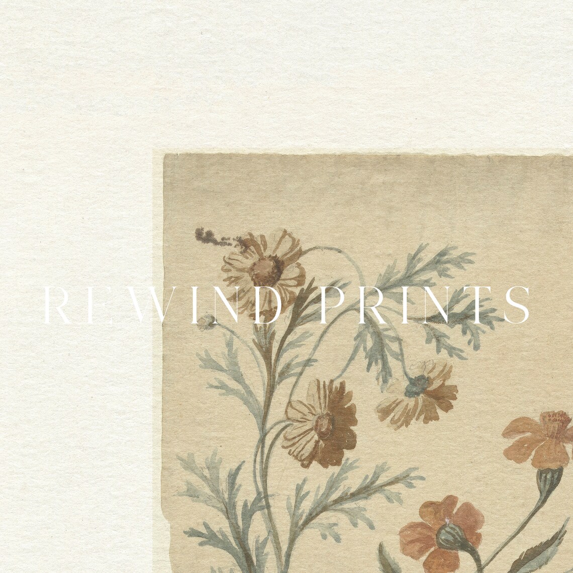 Vintage Neutral Cream Botanical Sketch Print - Image 5