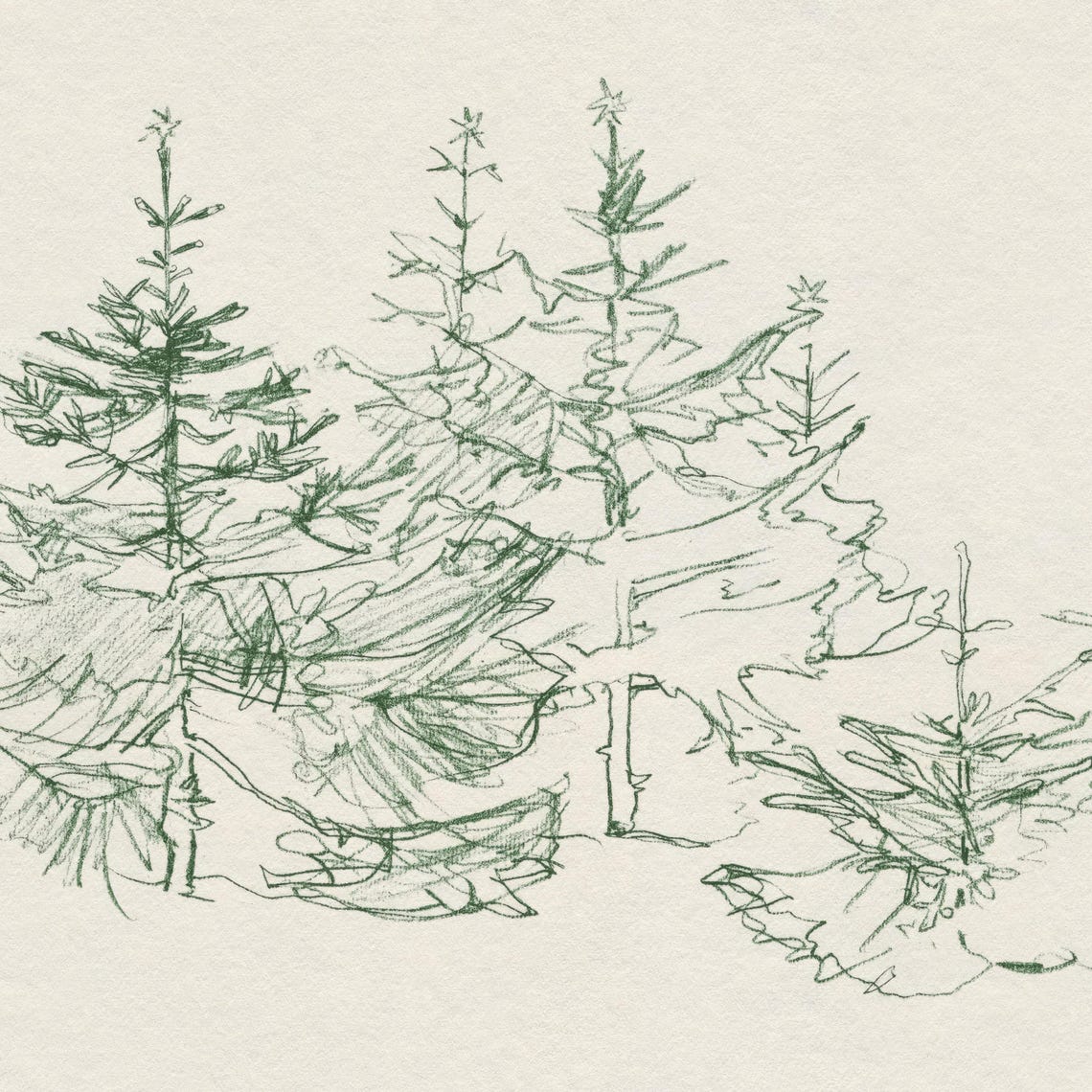 Vintage Abstract Pine Tree Sketch Green Ink Minimalist Winter Wall Art - Image 5