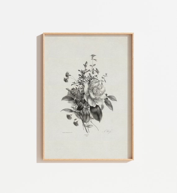 Vintage Botanical Art Print, Antique Neutral Wall Art