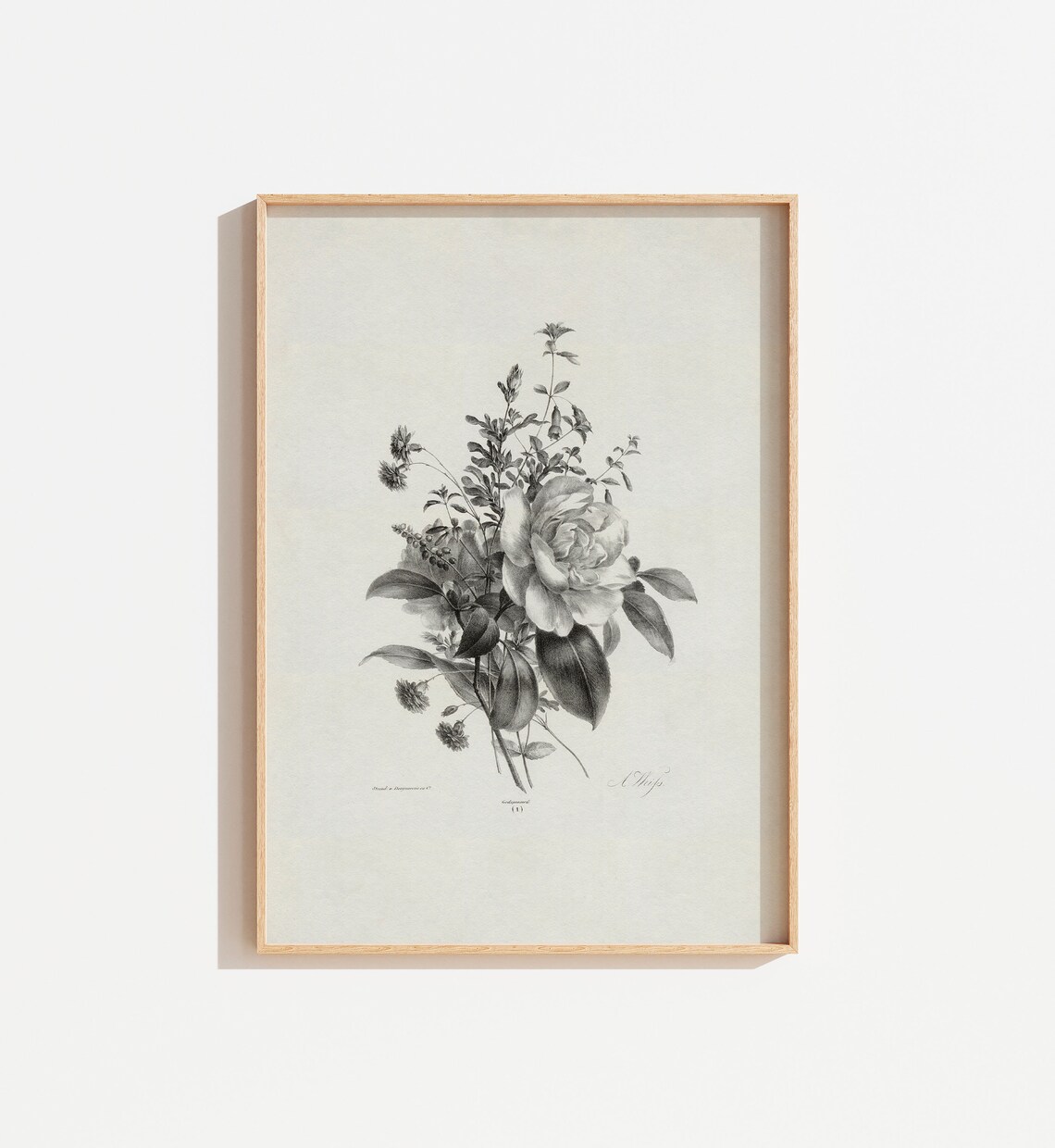 Vintage Botanical Art Print, Antique Neutral Wall Art