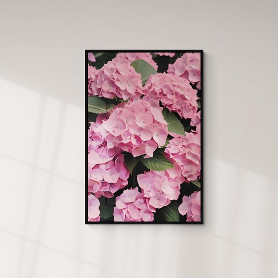 Pink Hydrangea Blossoms Lush Floral Botanical Photography Art Poster