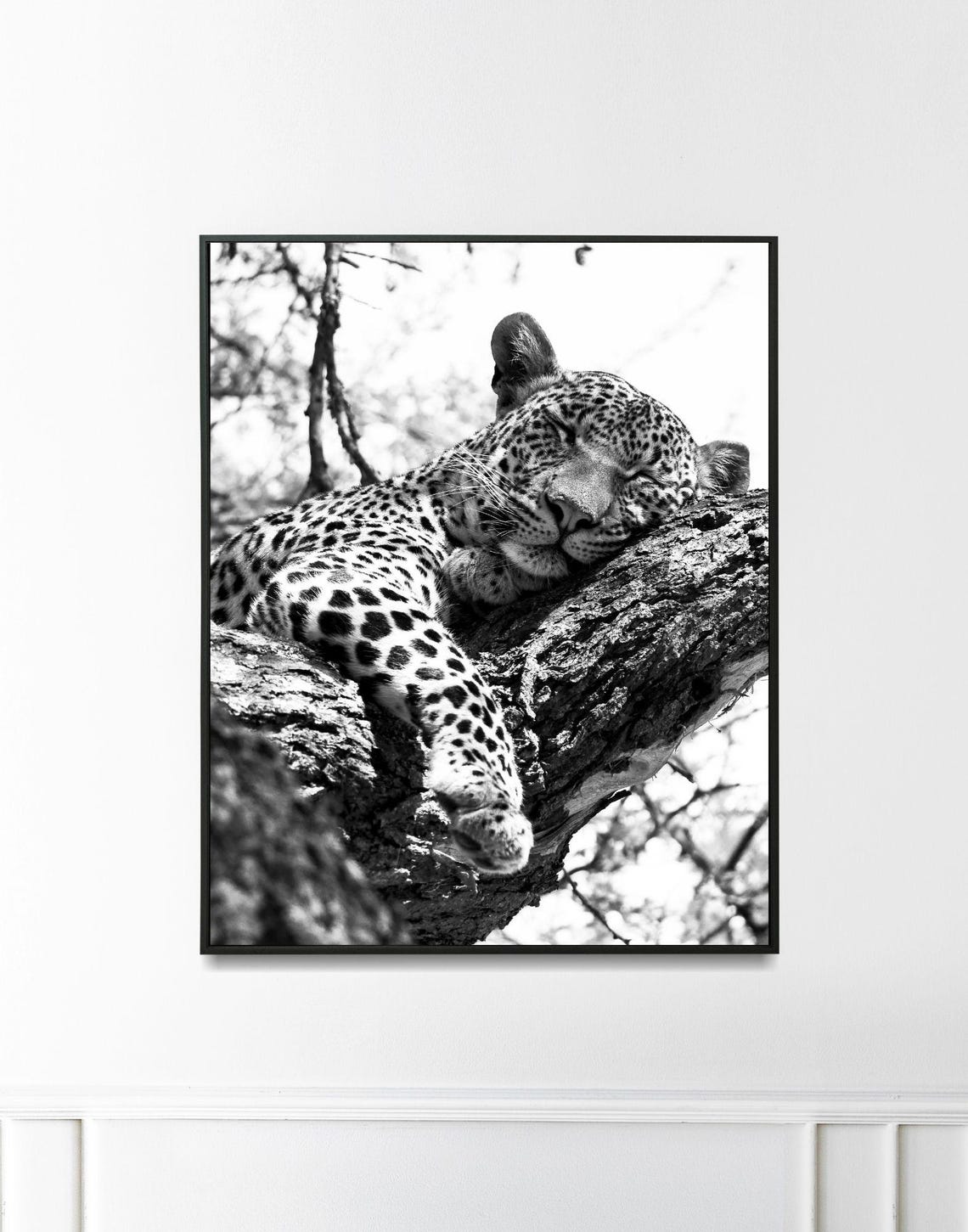 Sleeping Leopard Tree Branch Black And White Wildlife Photo Poster - Image 3