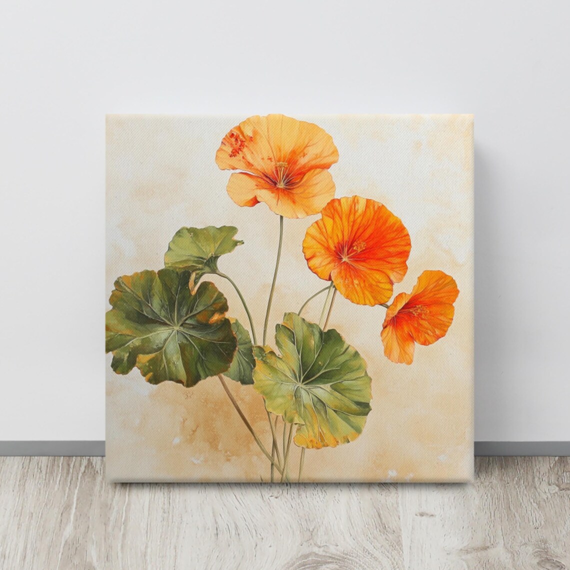 Orange Nasturtium Blooms Round Leaves Botanical Floral Art Poster