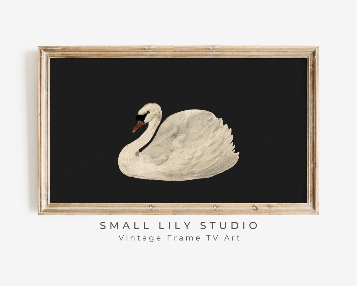 Swan Black White Moody Vintage Art Print