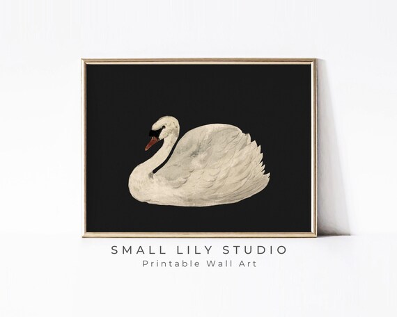 Swan Black White Print Moody Vintage Painting Swan Wall Art Minimalist Watercolor Print Dark Instant P075