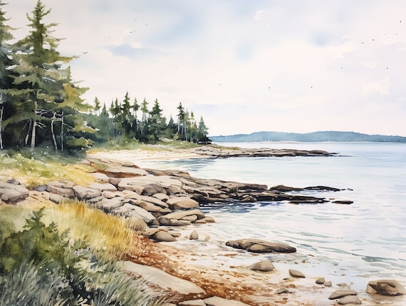 Maine Rocky Shore Pine Trees and Tidal Water Watercolor Coastal Poster