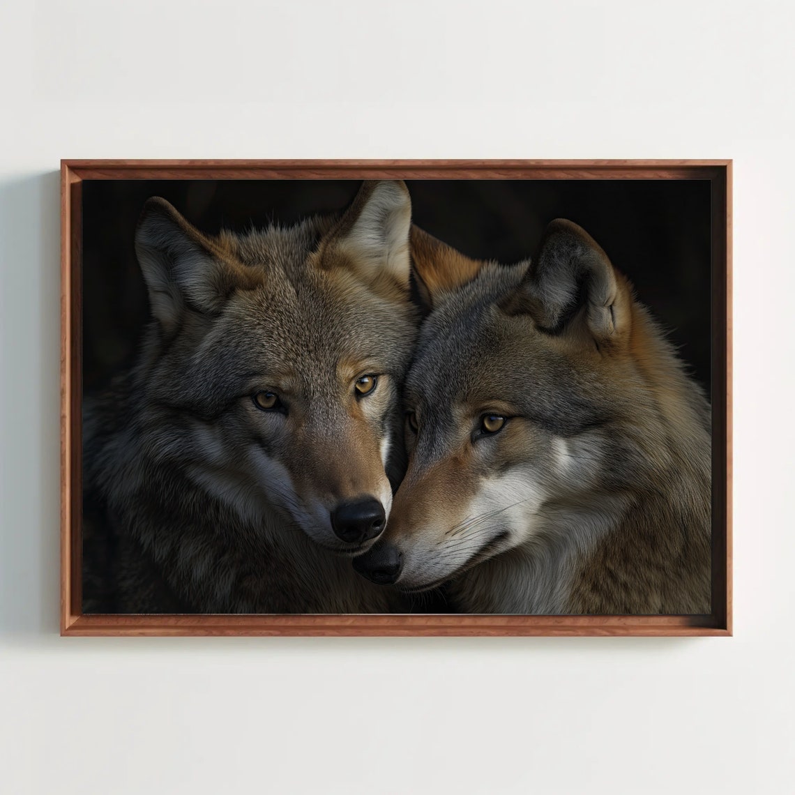 Wolf Couple Nuzzling Dark Background Wildlife Portrait Poster