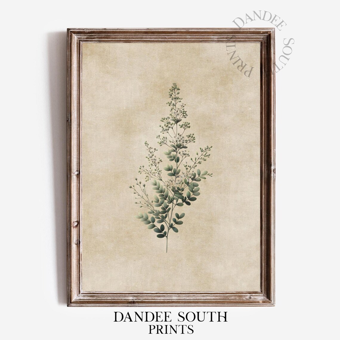 Green Botanical Art Print, French Country Farmhouse