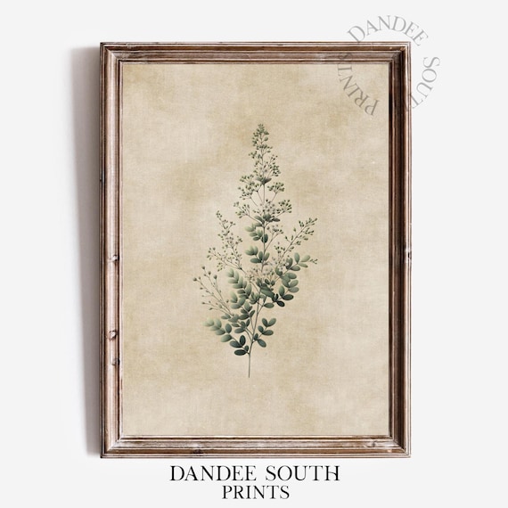 Green Botanical Art Print, French Country Farmhouse
