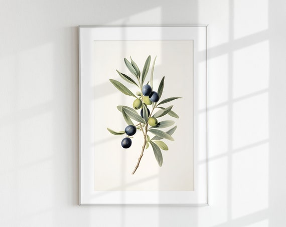 Olive Branch Botanical Vintage Art Print