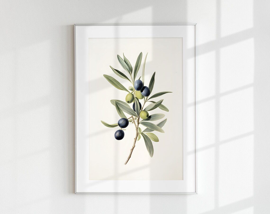 Olive Branch Botanical Vintage Art Print