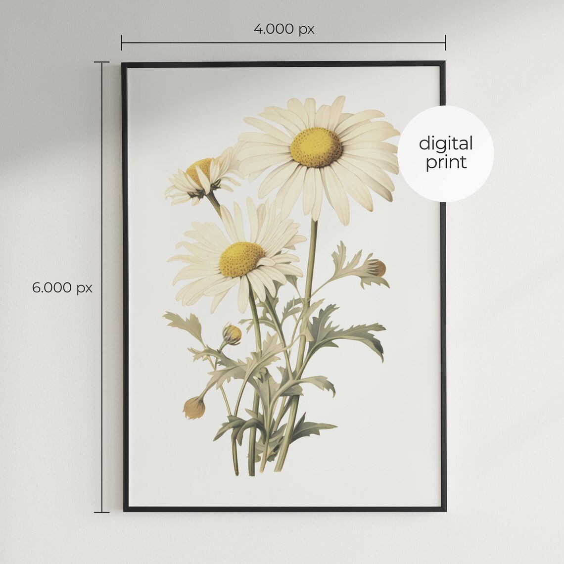 Daisy Vintage Poster, Botanical Flower Wall Art - Image 3
