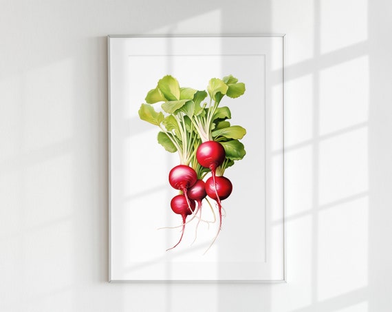 Radish Vintage Minimal Poster, Kitchen Art Print