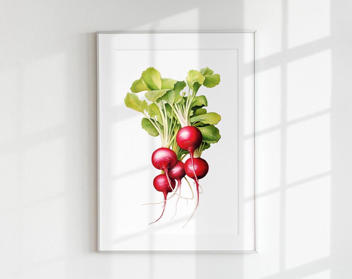 Radish Vintage Minimal Poster, Kitchen Art Print
