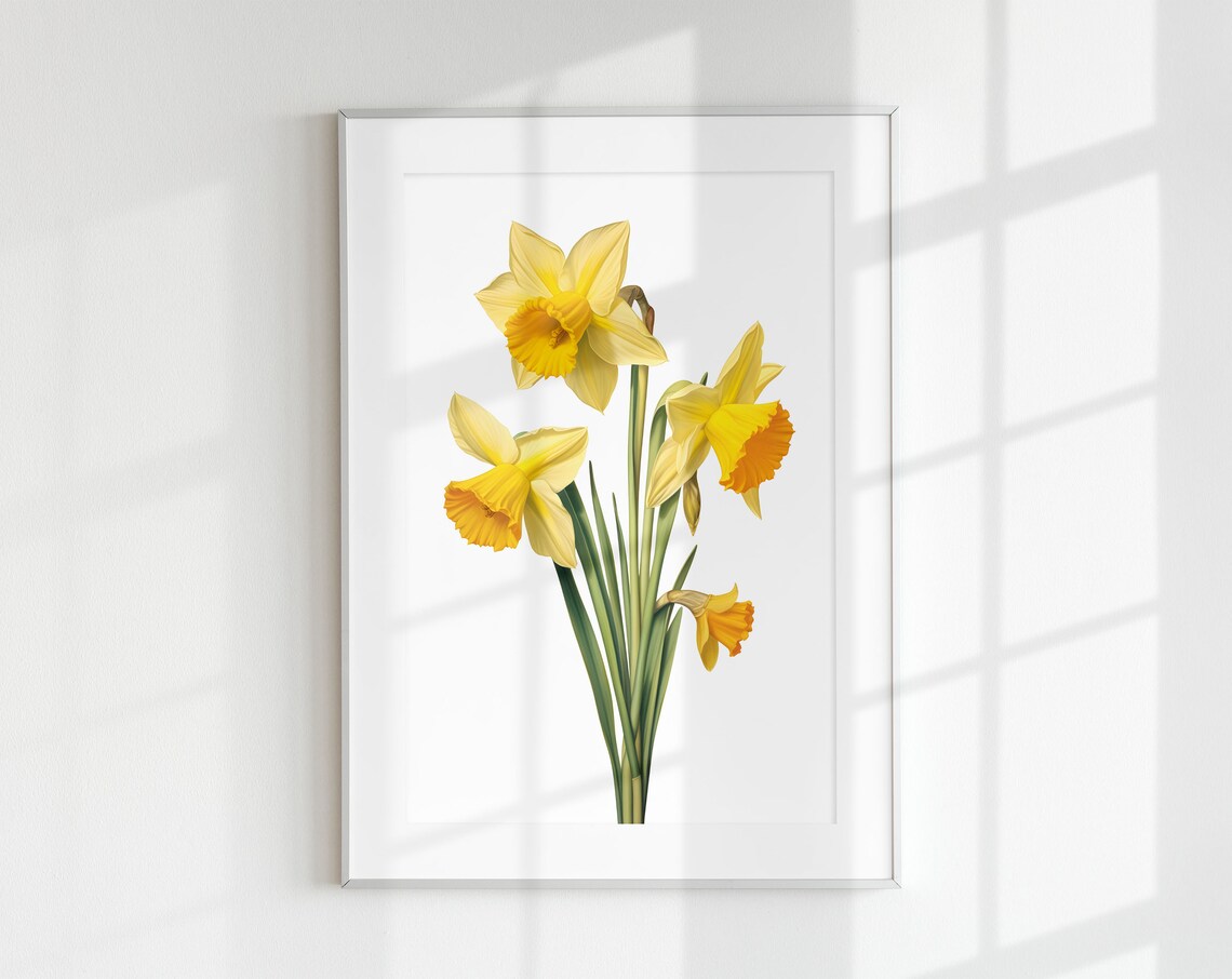 Vintage Daffodil Botanical Art Print, Flower