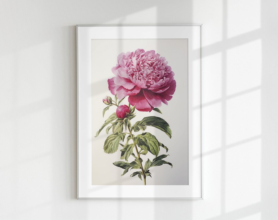 Vintage Peony Botanical Flower Art Print