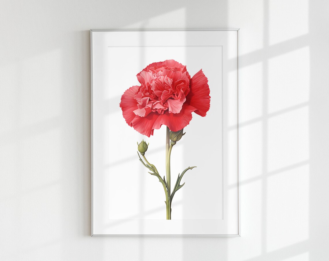 Carnation Botanical Vintage Poster Print