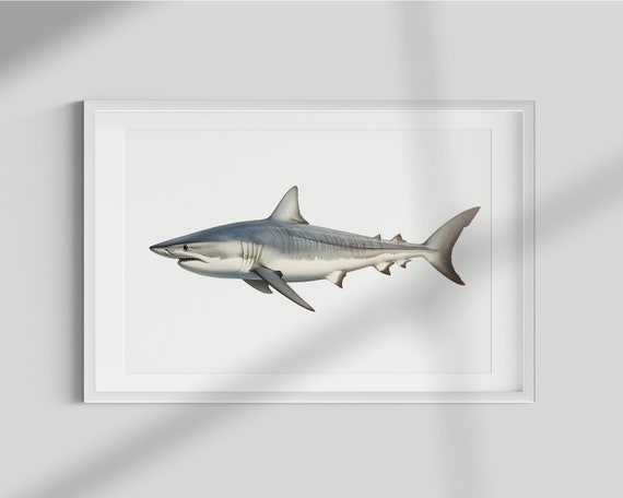 Shark Fish Vintage Illustration Art Print