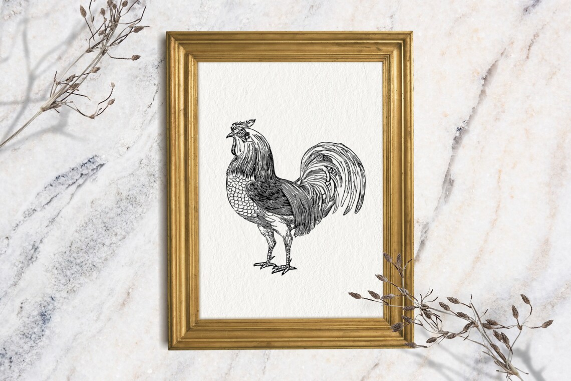 Rooster Art Print Vintage Ink Sketch Original Rooster Drawing Minimalist Farmhouse Drawing Country Kitchen Wall Art French Country Art