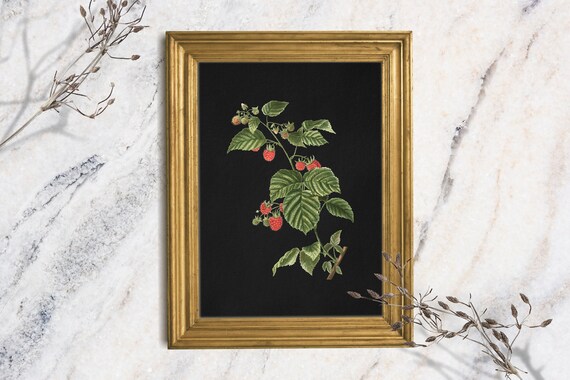 Moody Raspberry Art Print Unframed Print Oil Print Still Life Original Small Still Life Painting Print Fruit Art Print