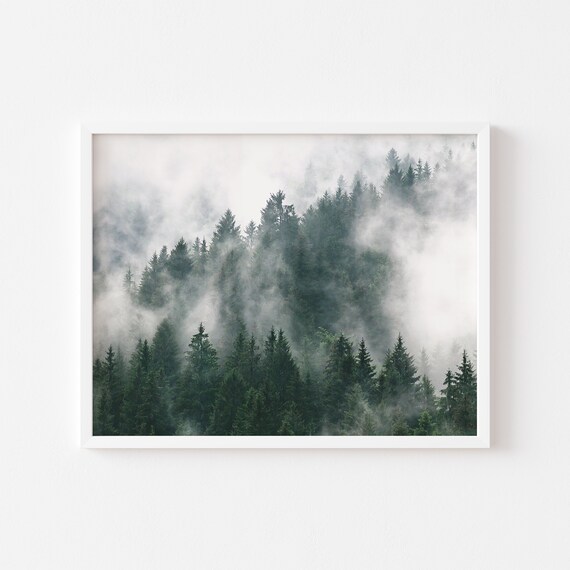 Foggy Pine Forest Nature Wall Art Misty Green Forest Print Modern Home Decor Forest Photography Art Green Pine Forest Print