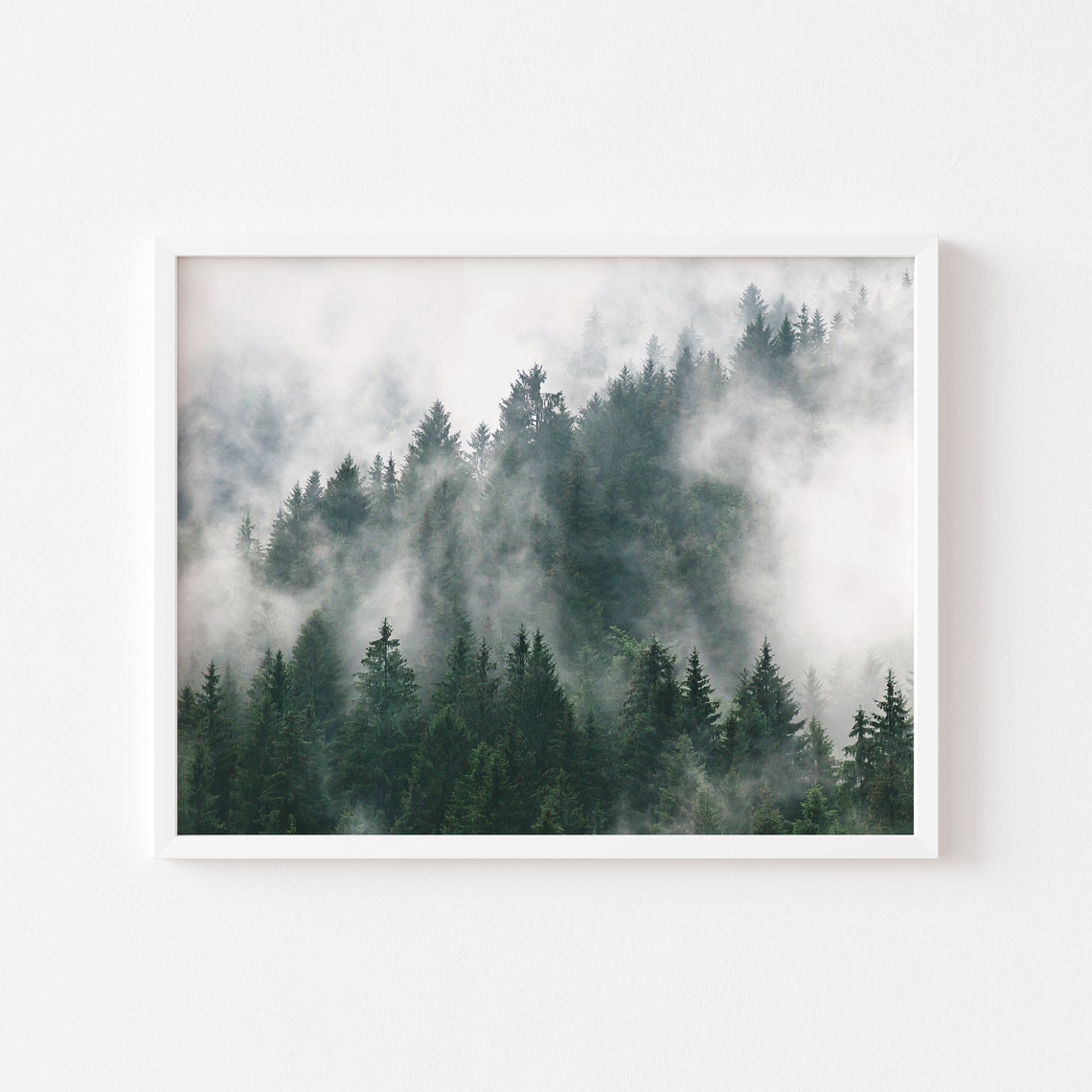 Foggy Pine Forest Misty Evergreen Trees Moody Nature Landscape Poster