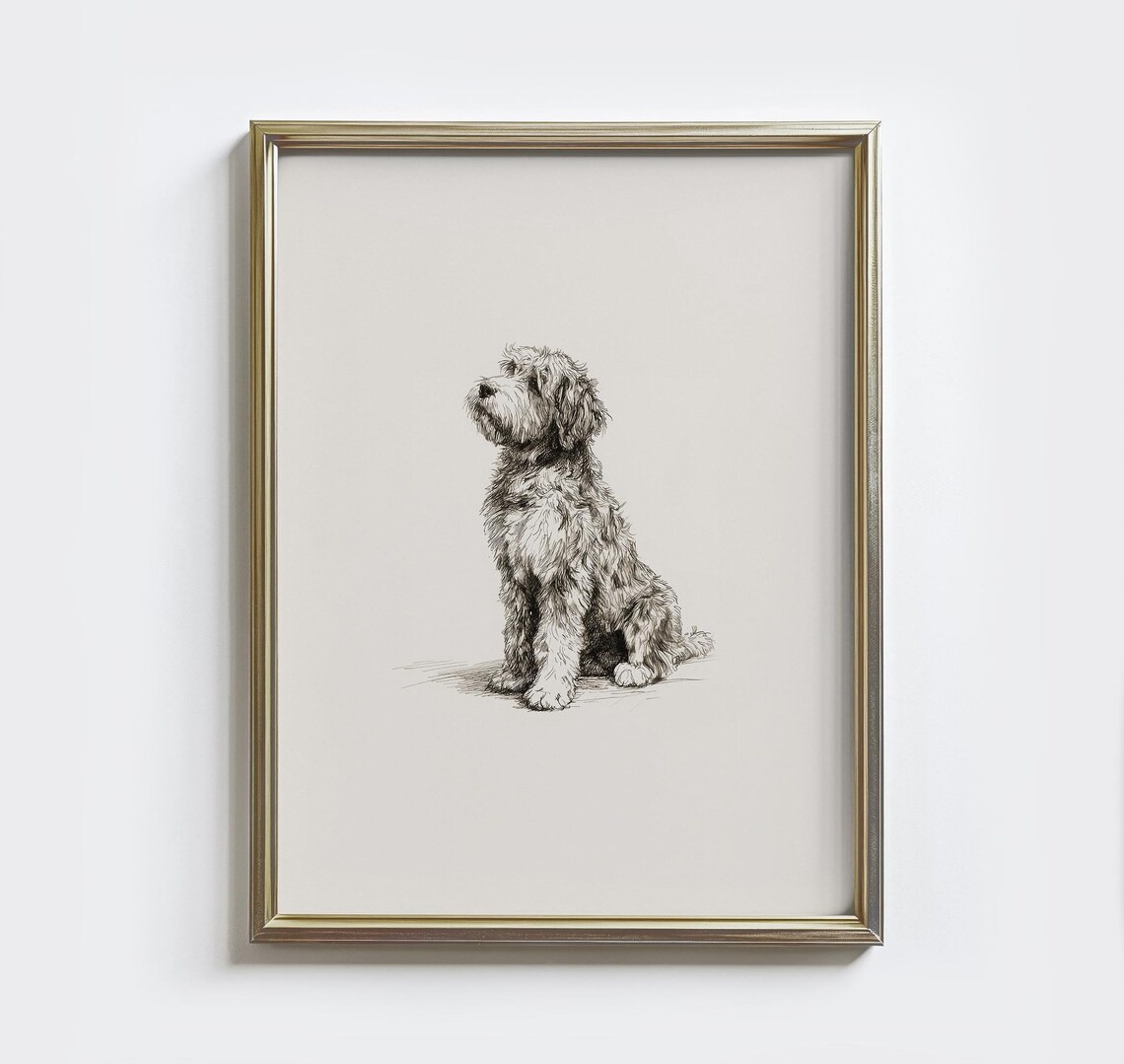 Aussiedoodle Sketch Print, Vintage Dog Drawing