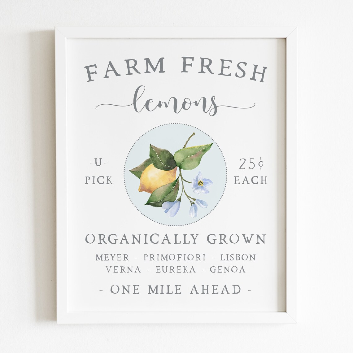 Farm Fresh Lemons Summer Art Print, Farmhouse Kitchen Decor - Image 5