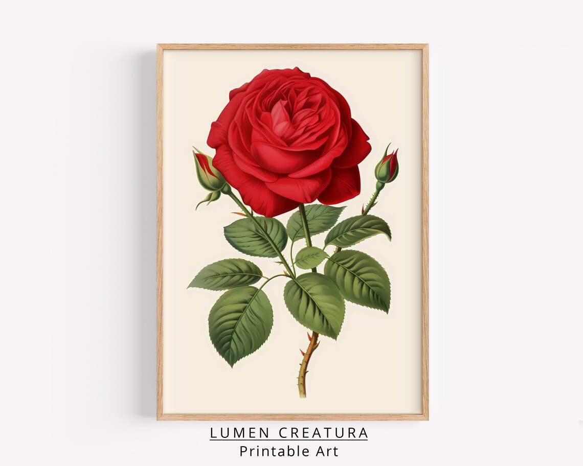 Rose Valentines Day Romantic Valentine Art Print