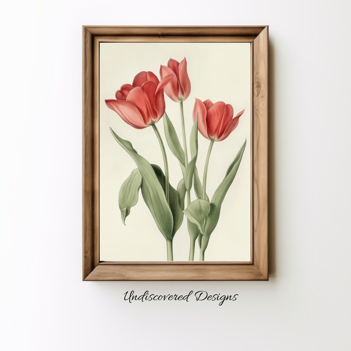 Vintage Coral Tulip Botanical Illustration Spring Flower Wall Art