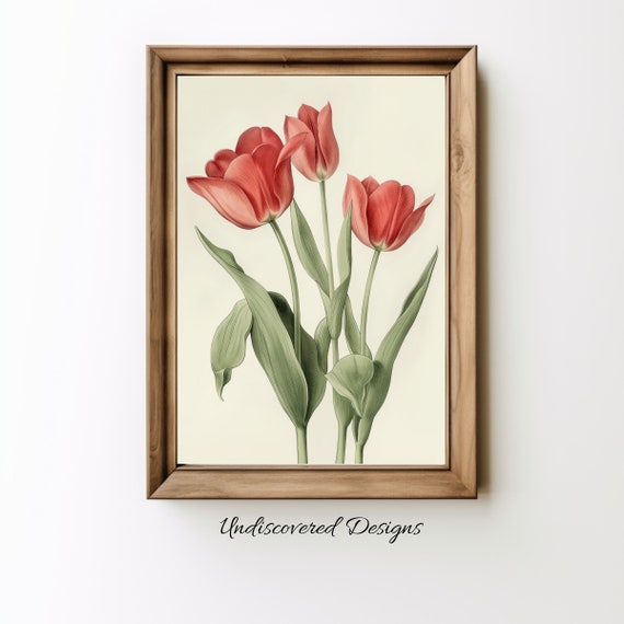 Vintage Tulip Botanical Print Elegant Floral Wall Art