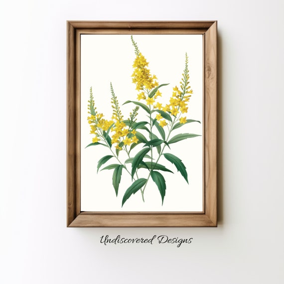Vintage Goldenrod Botanical Print Elegant Floral Wall Art