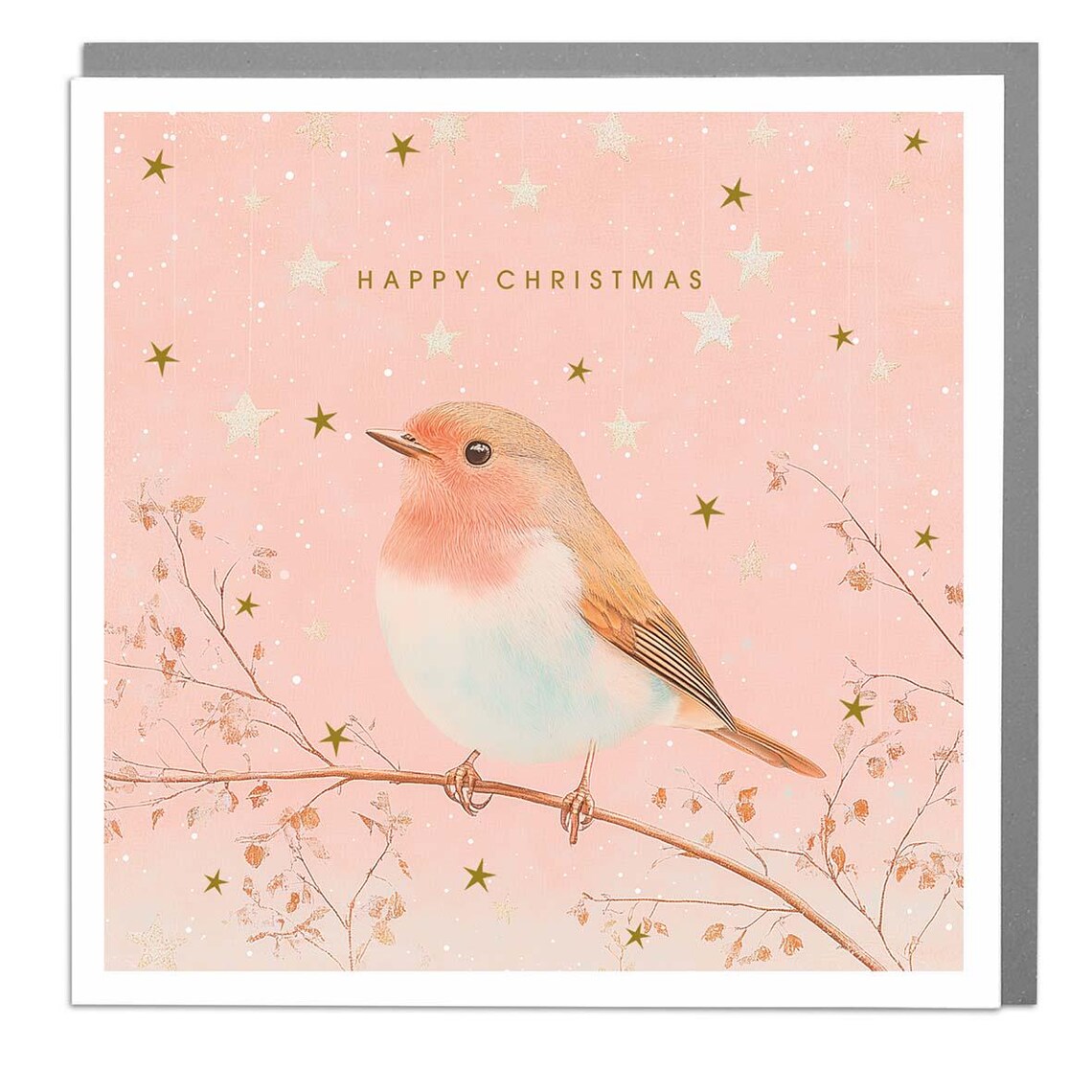 Robin Happy Christmas Card, Holiday Greeting