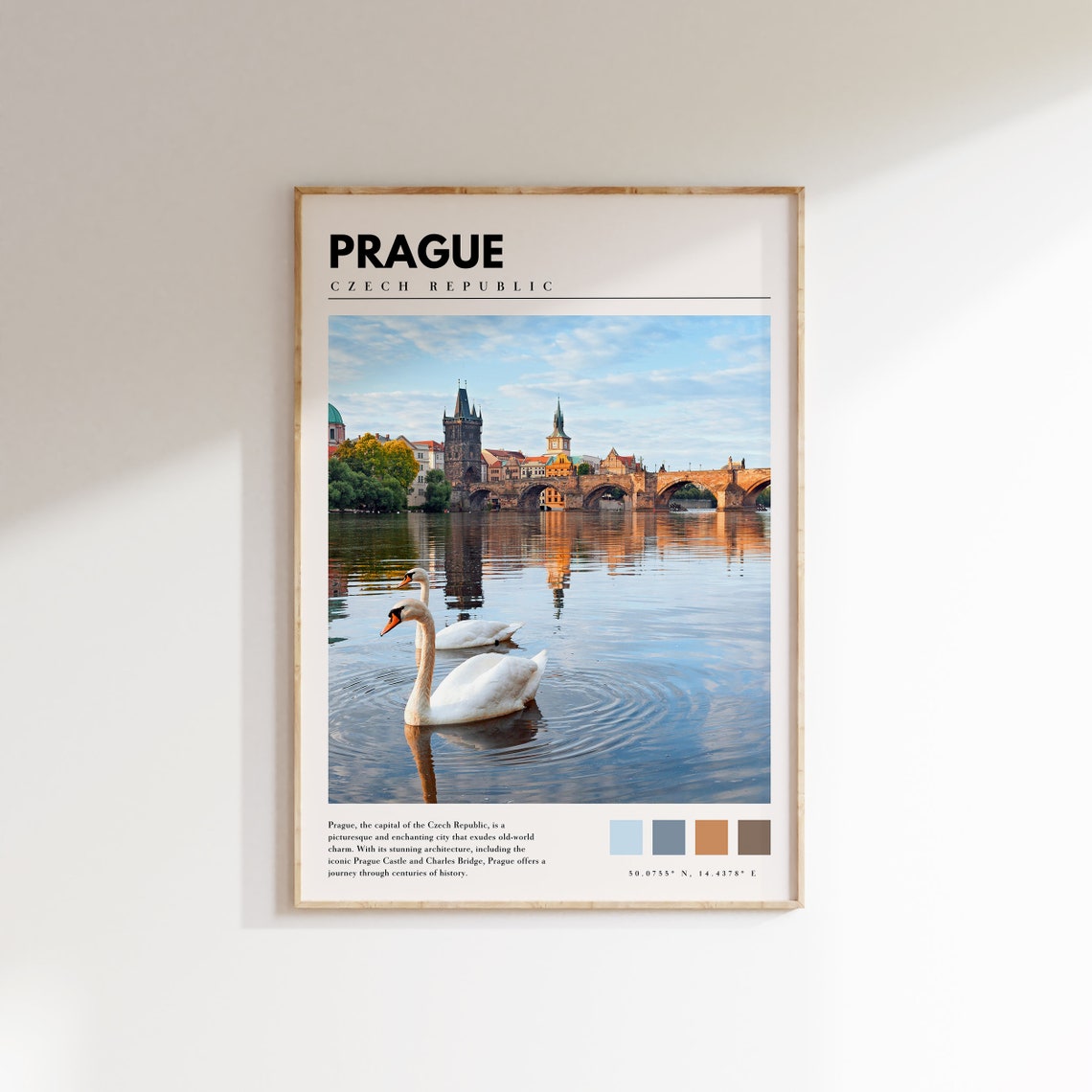 Prague Charles Bridge with Two Swans on the Vltava River Poster